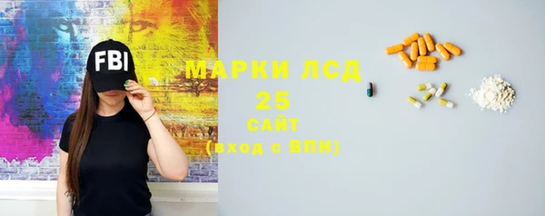 прущие грибы Абинск