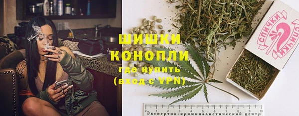 шишки Алексеевка