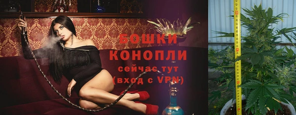 шишки Алексеевка