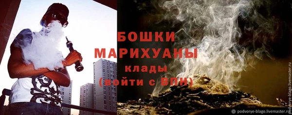 шишки Алексеевка