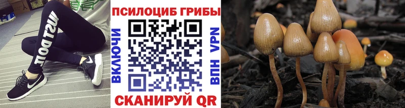Галлюциногенные грибы GOLDEN TEACHER  Фёдоровский 